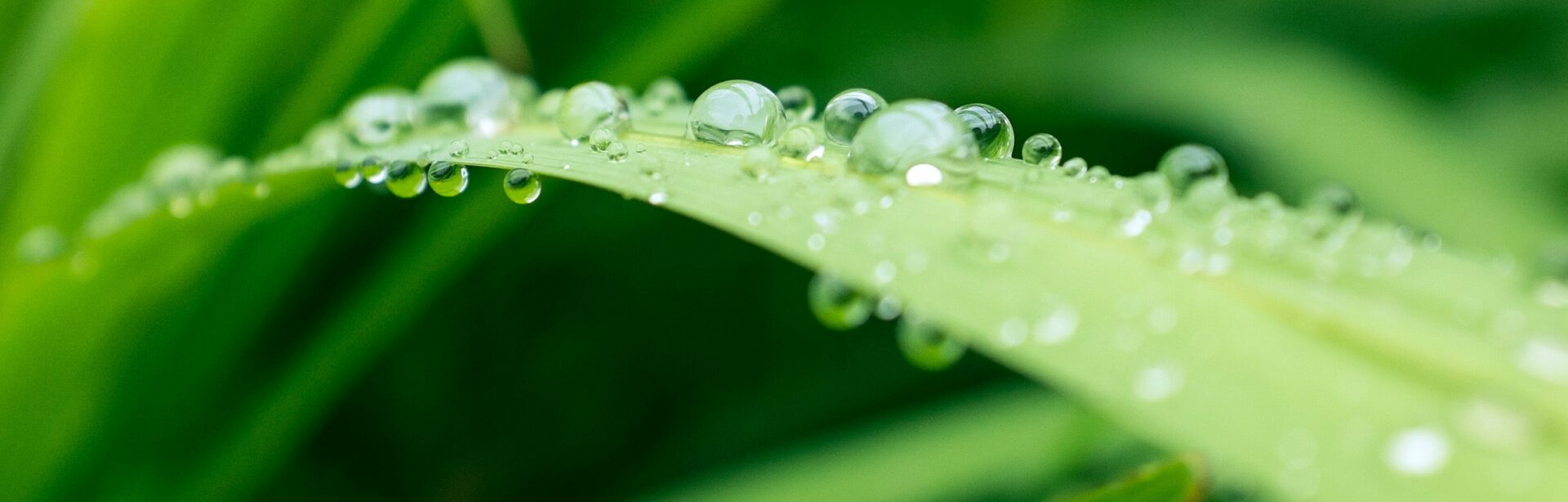 Úvodní stránka – Aquaponická farma Přáslavice